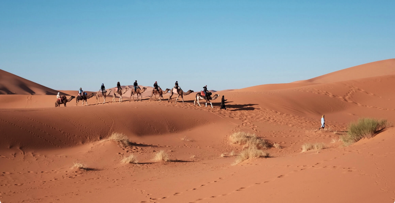Moroccan Sahara
