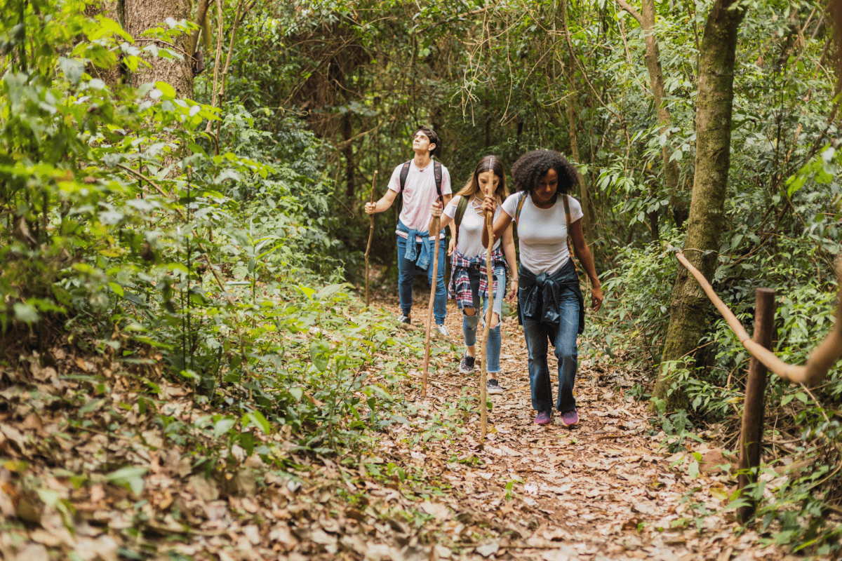 Trekking in forest